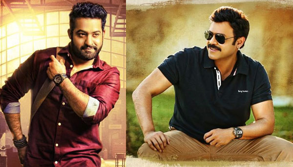 babu bangaram,janatha garage,babu bangaram release date,janatha garage release date,jr ntr,venkatesh  బంగారం, జనతా.. తేదీలు మారాయి..!